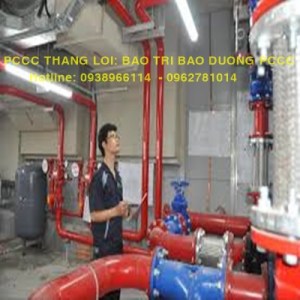 BAO-TRI1119