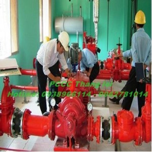 bao-duong-hai-duong27